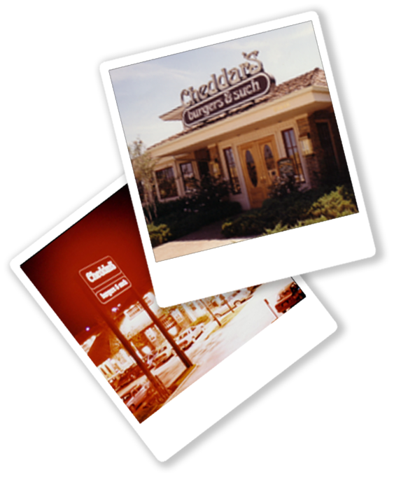 polaroids